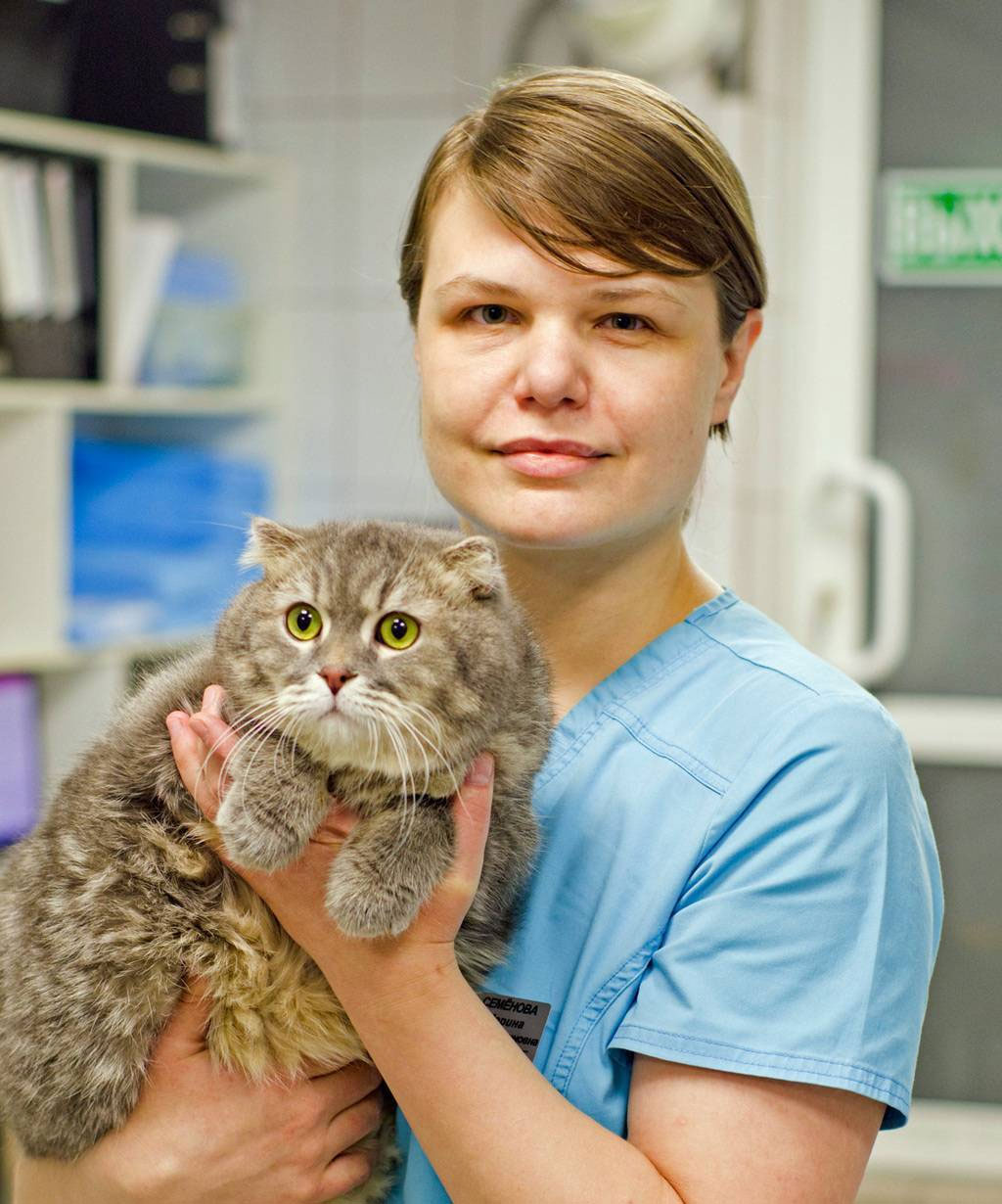услуги ветеринара Ветеринар на дом в Зарайск