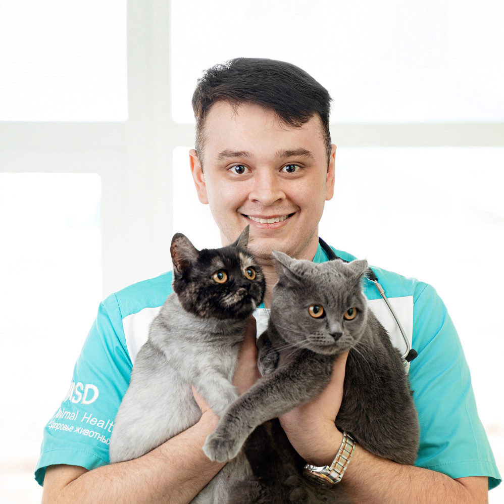 услуги ветеринара Ветеринар на дом в Одинцовский район